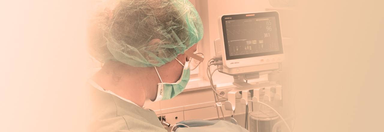 Dr. Hannah Brinkmeier